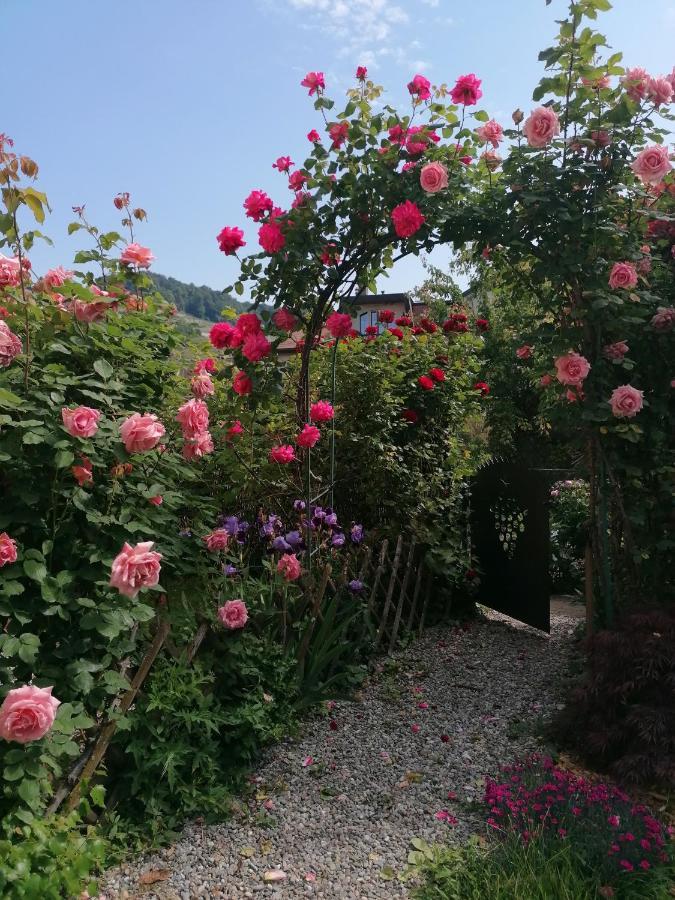 B&B 7E Art Vevey Kültér fotó